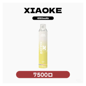 XIAOKE梟客電子煙一次性拋棄式7500口可充電【25種口味】