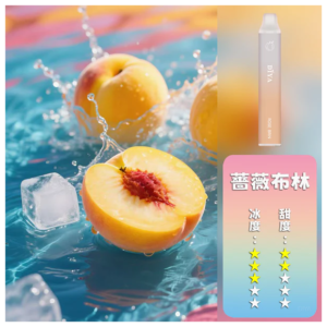 DIYA叮啞電子煙一次性拋棄式7500口【薔薇布林】